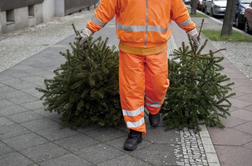 Weihnachtsbäume können in Stuttgart an zentralen Sammelstellen des Eigenbetriebs Abfallwirtschaft (AWS) kostenlos abgelegt werden. Foto: dpa