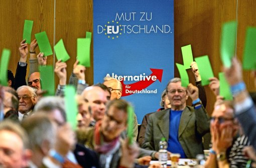 Sehnsucht nach dem „alten Deutschland“: die AfD-Delegierten arbeiten sich durchs Programm. Foto: dpa