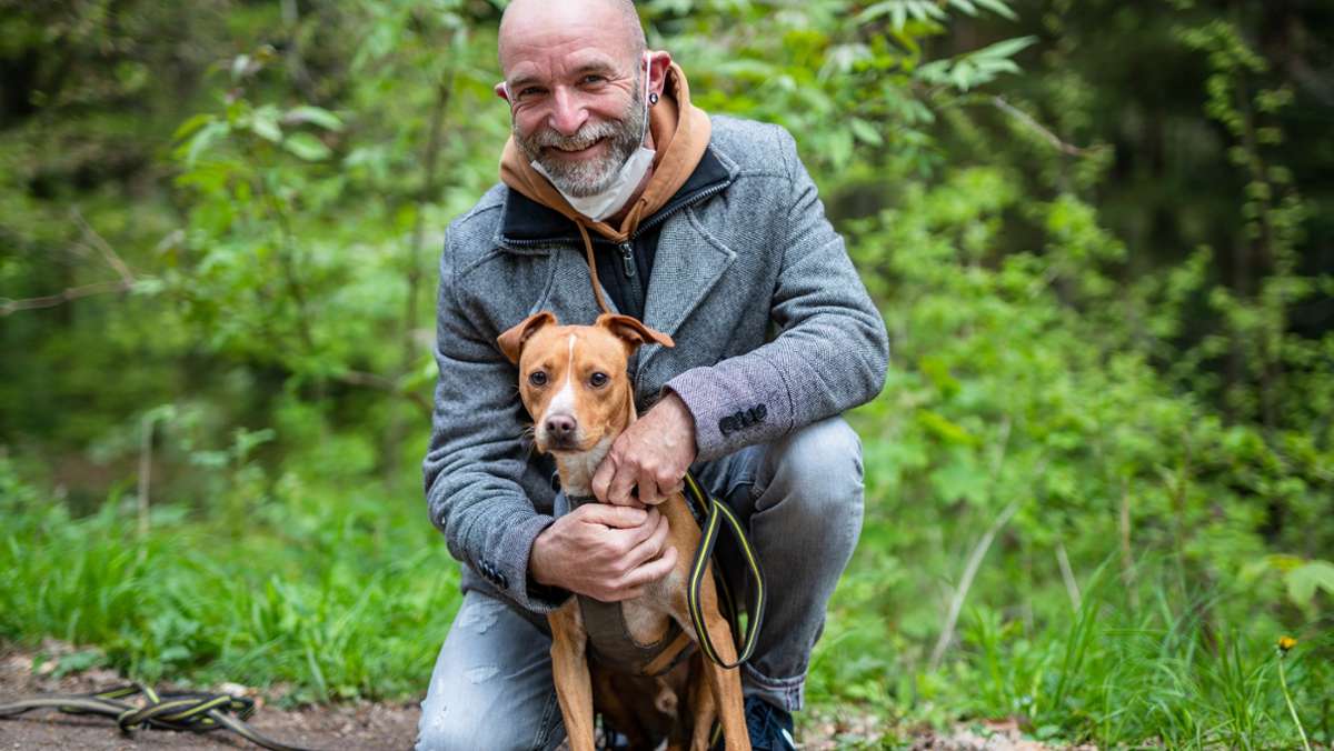Umfrage in Stuttgart: So denken  Hundebesitzer über den geplanten Hundeführerschein