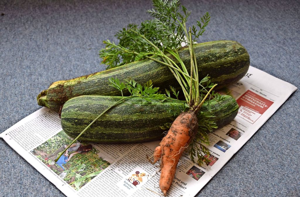 Schreiber-Garten in Stuttgart-Möhringen: Wer Früchte vergisst, wird