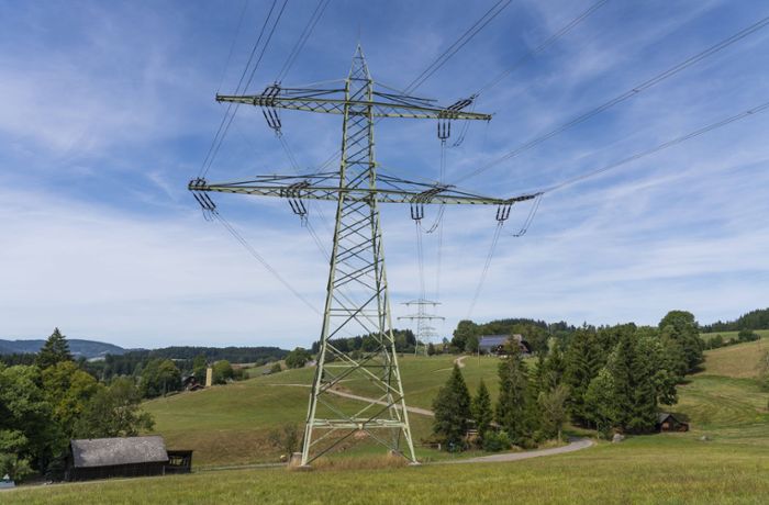 Strom in Baden-Württemberg: Was bedeutet die Strom-Warnmeldung von TransnetBW?