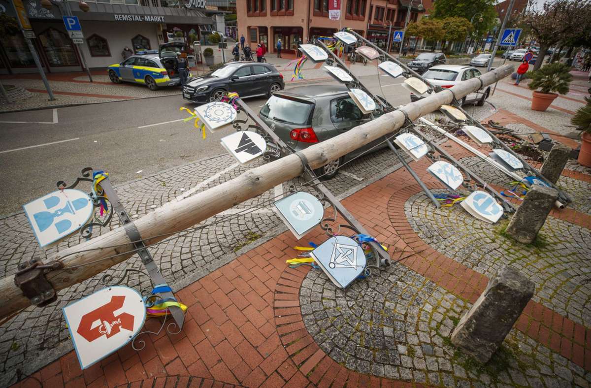 Der umgestürzte Baum beschädigte ein Auto. Foto: Gottfried Stoppel