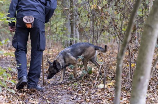 Die Polizei sucht mit rund 60 Beamten in einem Waldstück nach der vermissten 21-Jährigen (Symbolbild). Foto: IMAGO/Reichwein/IMAGO/Christoph Reichwein (crei)