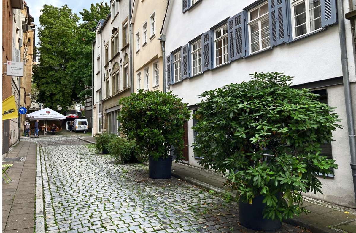 Die Pflanzenkübel in der Wagnerstraße sind dem Ordnungsamt ein Dorn im Auge – obwohl sie vor zig Jahren bereits genehmigt wurden. Foto: Martin Haar