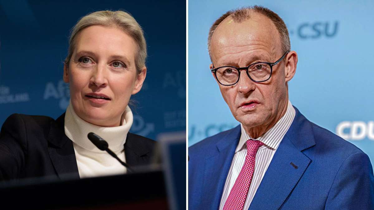 Nach Gewalttat in Aschaffenburg: Weidel schreibt Brief an Merz und erneuert Angebot - Politik