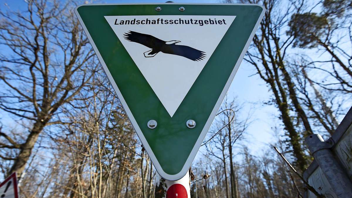 Glemswald Steinenbronn: Wie Straßenbau und Naturschutz zusammengehen