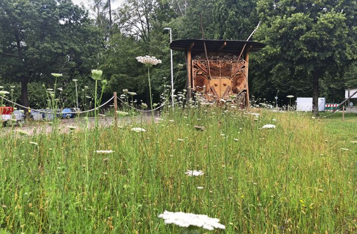Goldene Wildbiene für Althütte: Ausgezeichnet: Riesenhotel für kleine Wildbienen