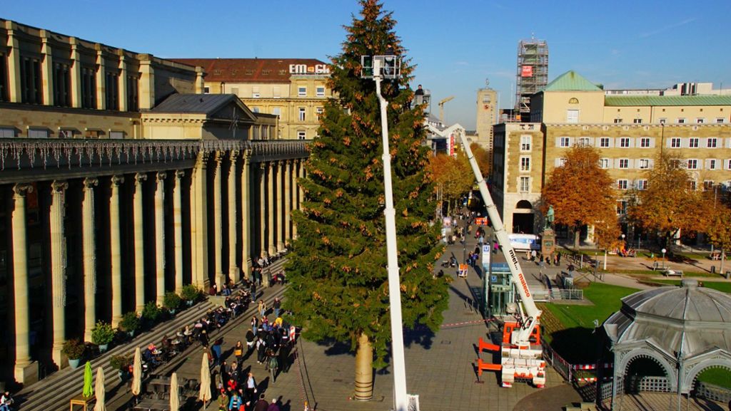 Weihnachten kann kommen: Stuttgarts Christbaum steht nun doch