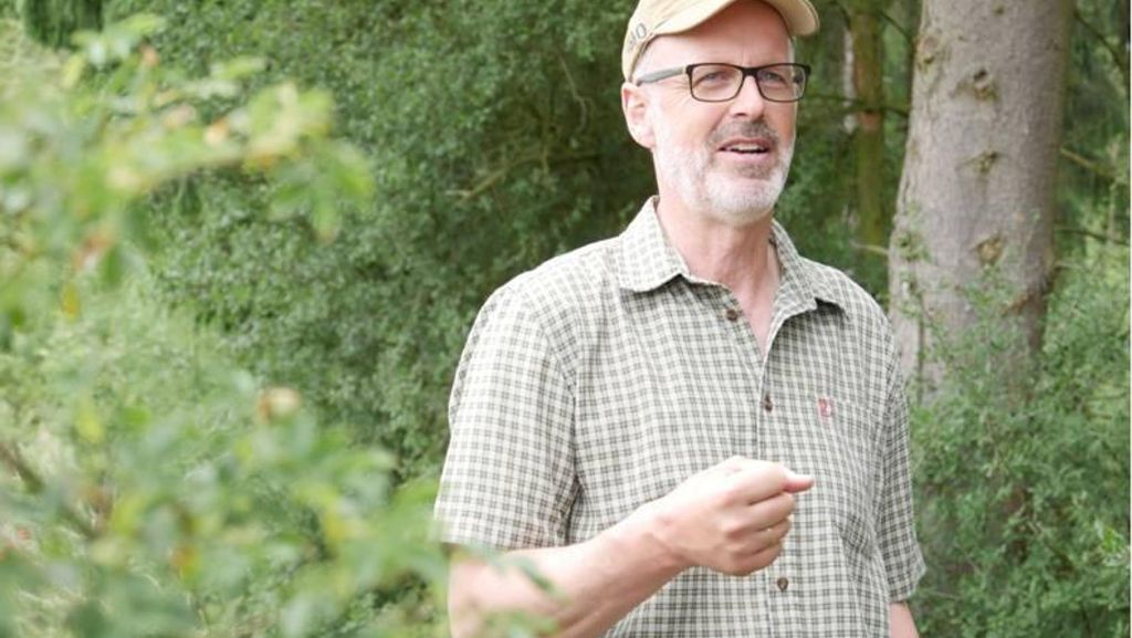 Fünf Tipps von Förster Peter Wohlleben: So helfen Sie dem Wald und sich selbst