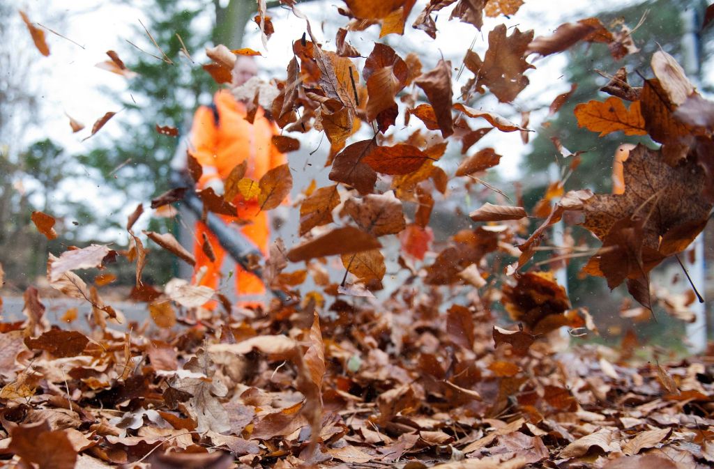 1. Es ist die Quintessenz des Herbsts: Die Blätter an den Bäumen färben sich bunt und fallen dann ab. Poetisch, wunderschön - und mit lauten Konsequenzen. Sobald die Männer mit den Laubbläsern patrouillieren, ist es schnell vorbei mit dem Herbstidyll.