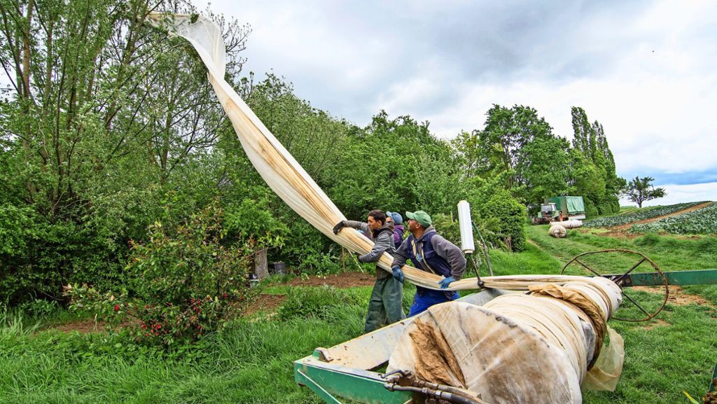 Umherfliegende Folie in Filderstadt: Wie eine Ackerplane zum Stromausfall führte