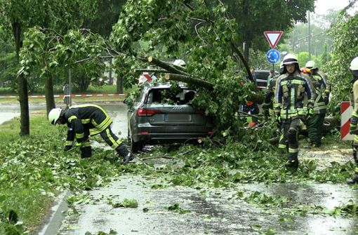 Feuerwehrleute beseitigen in Nordrhein-Westfalen einen durch Gewitterböen umgestürzten Baum von einem Auto. Foto: dpa/Bernd März