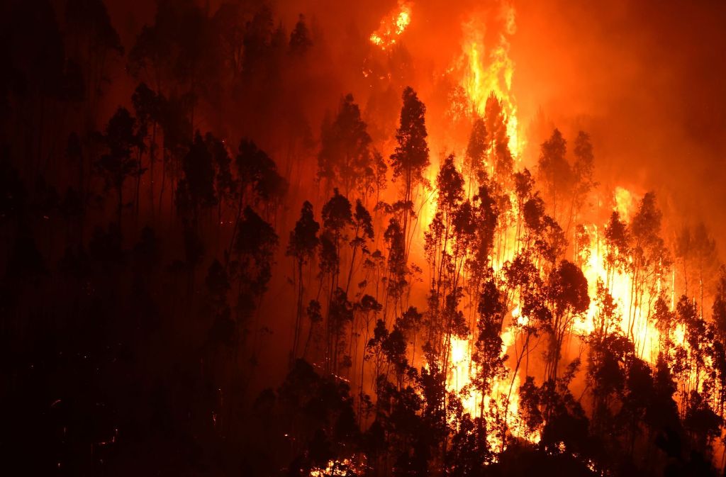 Mehr als 60 Menschen sterben bei den Waldbränden in Portugal.