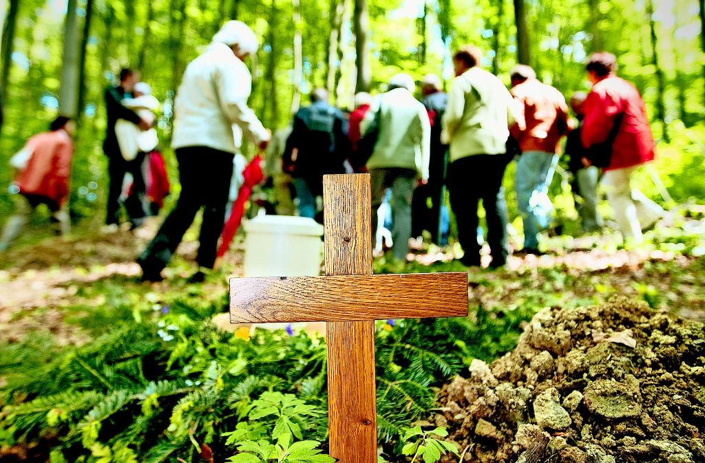 Der Friedwald in Wangen ist sehr beliebt. Mehr als 4500 Menschen haben sich dort einen Beisetzungsplatz unter einem Baum reservieren lassen. Foto: Rudel/Archiv