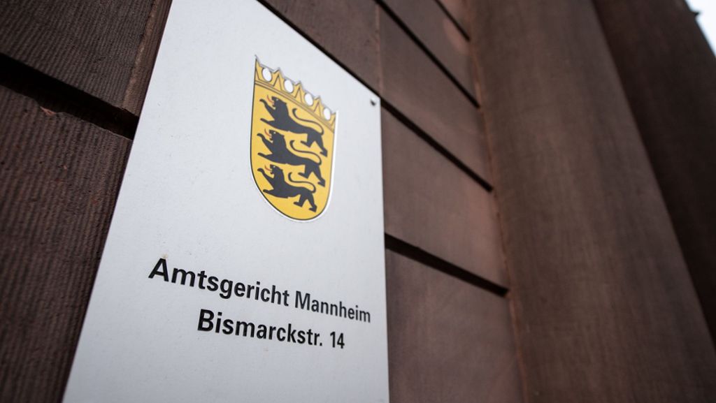 Amtsgericht Mannheim: Kleinkind durchlebt die Hölle bei Pflegeeltern