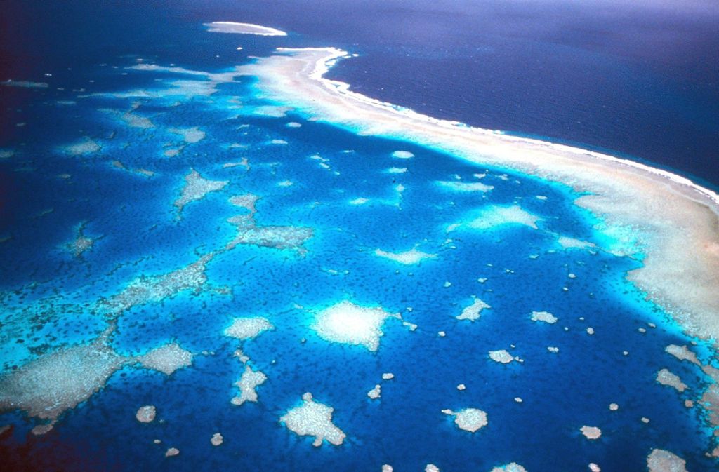 Vor Australien Jacht Mit Einer Tonne Drogen Lauft An Riff Auf