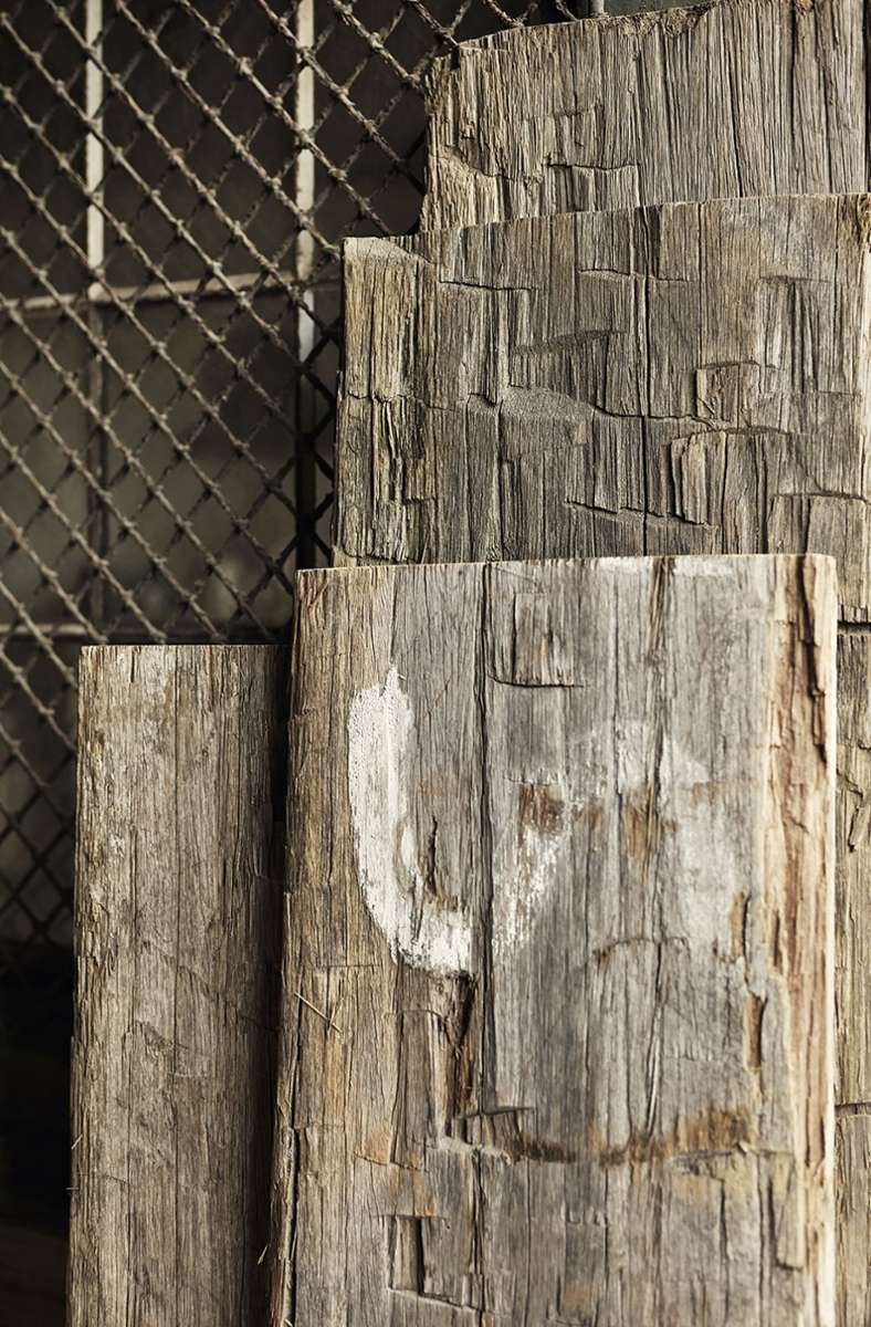 Wiederverwertetes Holz, das aus dem Hafen stammt. Immer wieder werden im Hafengebiet sogenannte Duckdalben erneuert. Zumeist sind sie aus Hartholz und haben Jahrzehnte im Wasser verbracht. Sie sind schwer und riesig. Weiterverarbeiten kann man sie, wenn man es schafft, sich ein mobiles Sägewerk zu organisieren und dieses historische Holz in bis zu 6 cm dicken Schwarten auftrennt, . . .