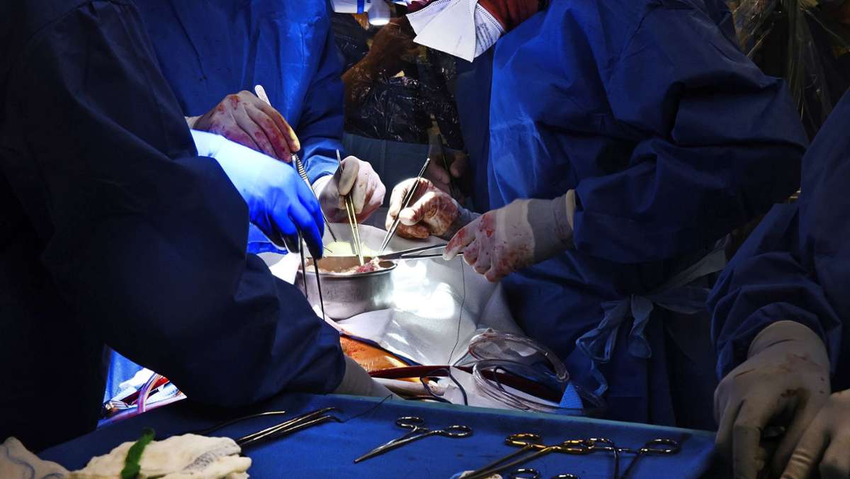  Eine in den USA erfolgte Transplantation markiert eine neue Marke für den medizinischen Fortschritt – wirft aber auch ethische Fragen auf. 