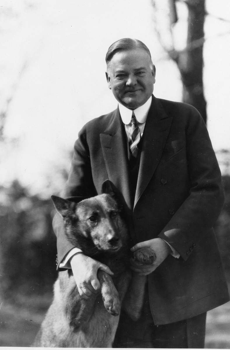 Herbert Hoover mit seinem Schäferhund King Tut. Während Hoovers Wahlkampf musste der Hund oft ins Rampenlicht - der Politiker wirke sonst so steif, befanden seine Berater.