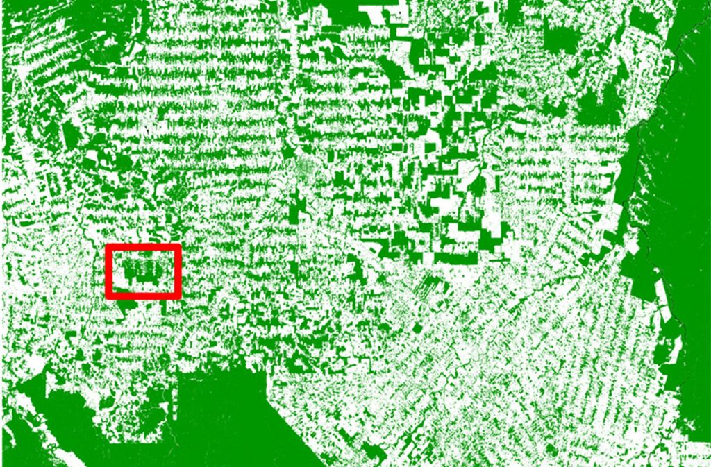 Die Karte aus Satellitendaten zeigt eine kleine Region in Rondonia im brasilianischen Amazonas-Regenwald.