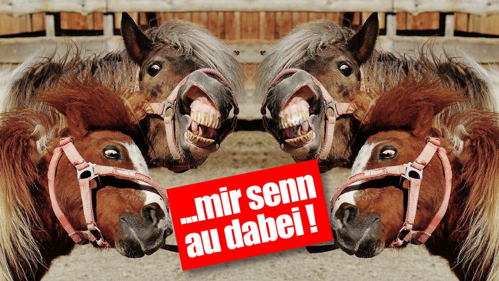 Liveticker zum 328. Leonberger Pferdemarkt: In Leonberg steppt der Gaul