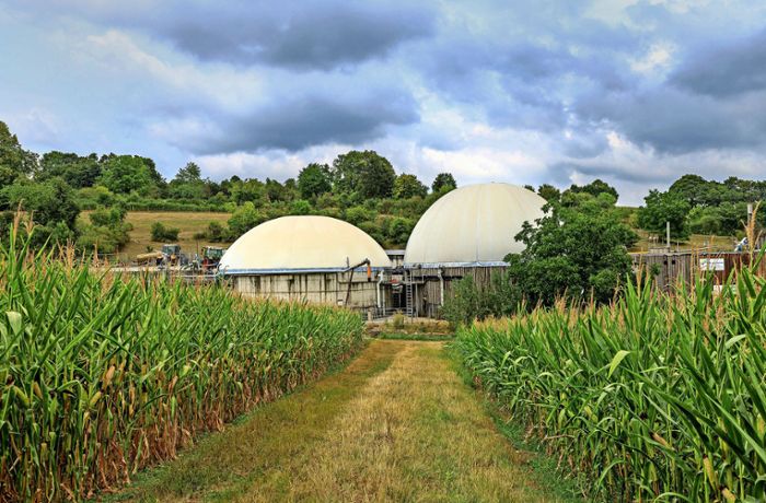 Biogas gibt es auch im nächsten Winter