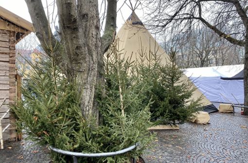 Weihnachtsbäume beim  finnischen Weihnachtsdorf auf dem Stuttgarter Karlsplatz. Foto: jan