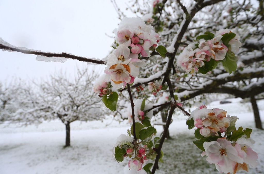 Insbesondere auf der Schwäbischen Alb sei starker Schneefall möglich, es werden bis zu 20 Zentimeter Neuschnee erwartet.