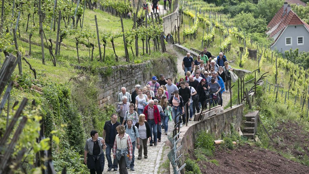 Esslingen: Wein, Wandern und Gesang