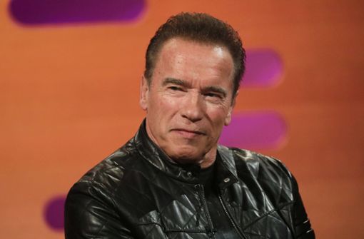 Der Schauspieler und Ex-Gouverneur Arnold Schwarzenegger Foto: dpa/Isabel Infantes