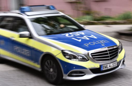 Die Polizei fahndete mit mehreren Streifenwagen – vergeblich (Symbolbild). Foto: StZN/Weingand