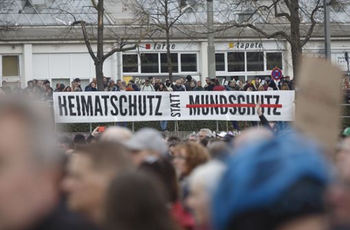 Weit mehr als 10.000 Teilnehmer demonstrierten in Stuttgart und ignorierten dabei Maskenpflicht und Abstandsgebot. Foto: Lichtgut/Julian Rettig