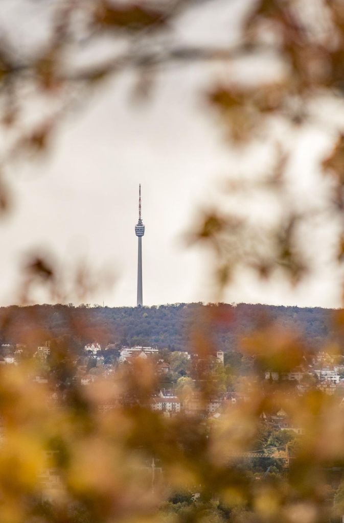 Der Fernsehturm wird auf diesem Foto eingerahmt von Blätterwerk.