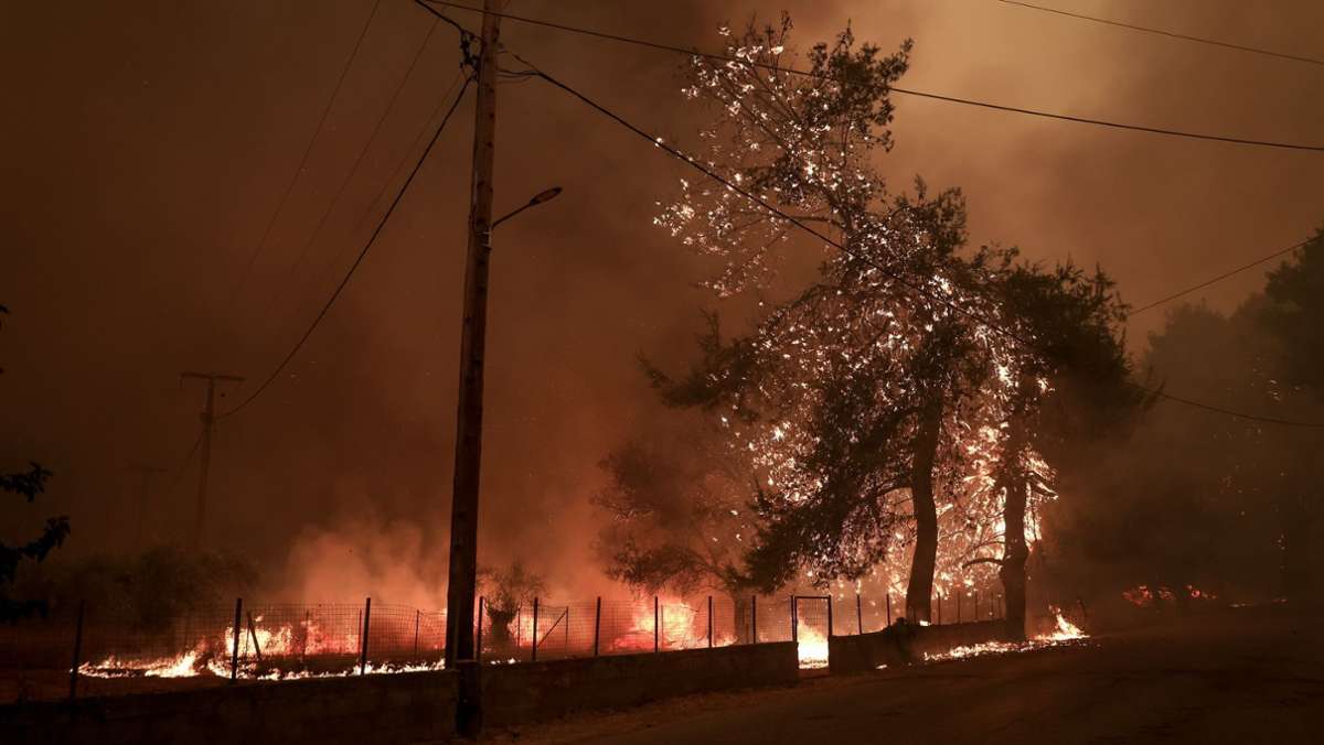 Waldbrände in Italien: Behörden ermitteln wegen Brandstiftung an der Adria-Küste