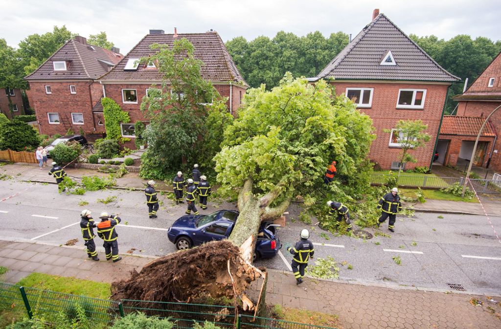 Ein Baum hat in Hamburg ein geparktes Auto unter sich begraben.