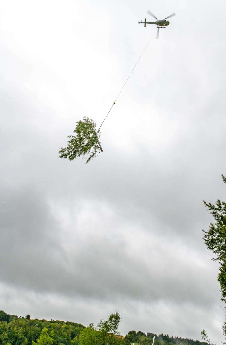 . . . damit der Helikopter den gefällten Baum anschließend abtransportieren konnte.