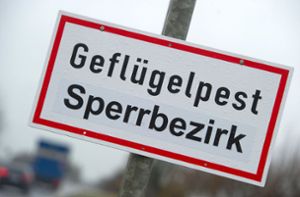 Geflügelpest im Landkreis Ludwigsburg nachgewiesen