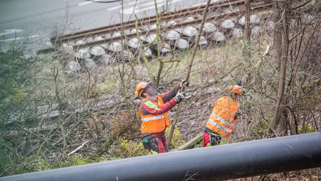  In Stuttgart werden an diesem Montag einige Bäume bei der S21-Baustelle am Rosensteintunnel gefällt. Auch Demonstranten sind vor Ort. 