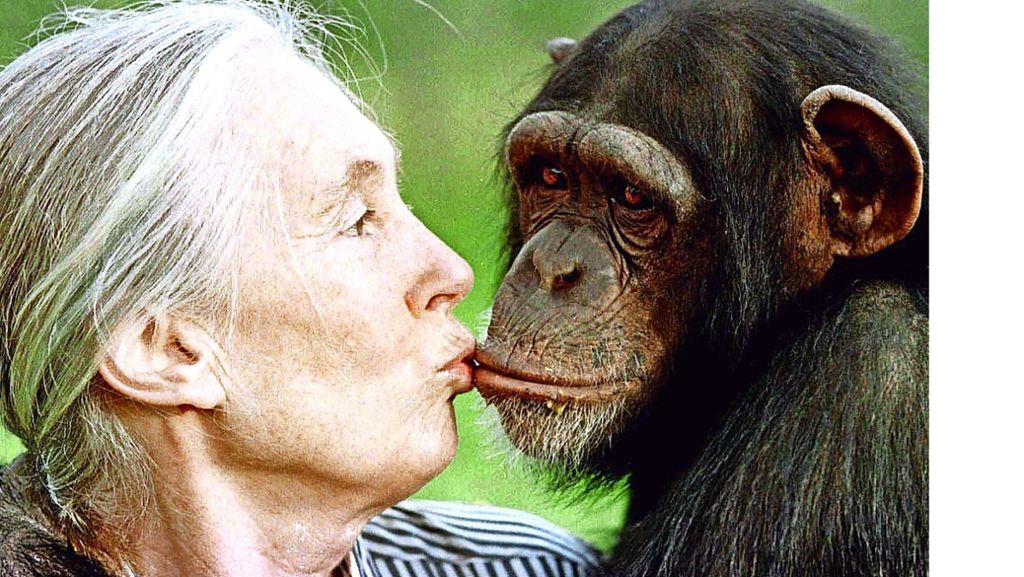 Vortrag: Jane Goodall sucht ihre Nachfolger
