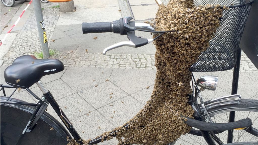 Polizeieinsatz in Berlin: Hunderte Bienen bedecken Fahrrad