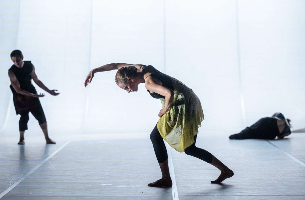 Szene aus Elisabeth Schillings Tanzstück „Hear Eyes Move“ Foto: Thomas Müller/TM