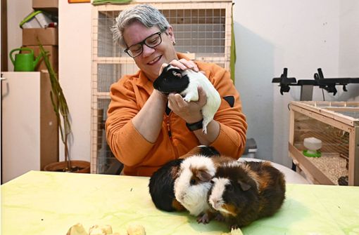Nicole Leiy-Neidel verbringt gerne Zeit mit ihren  Meerschweinchen. Foto: Werner Kuhnle