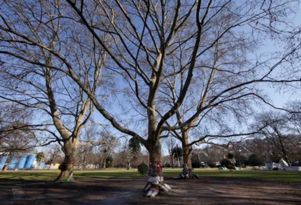 Die Bäume im Schlossgarten dürfen gefällt werden. Foto: dapd