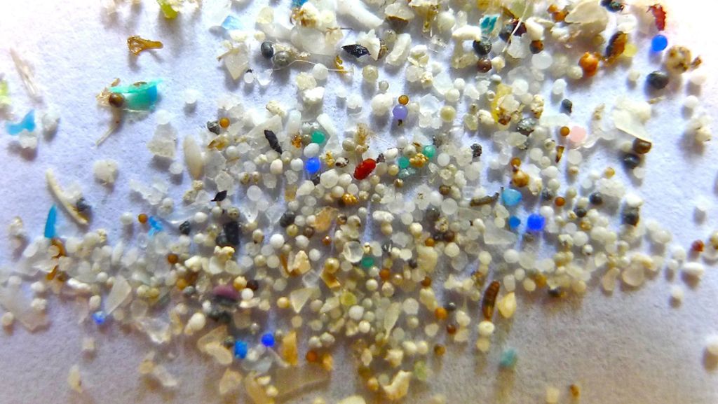 Plastikmüll und Umwelt: So vermeiden Sie Mikroplastik