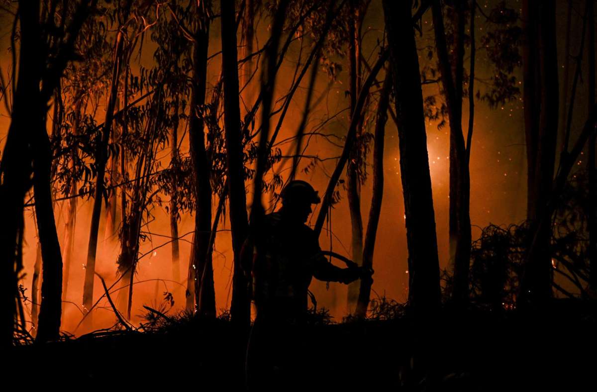 Überall im Land kämpfen Feuerwehrleute gegen die Flammen. Fast 250 Feuer sind seit dem Wochenende neu hinzugekommen.