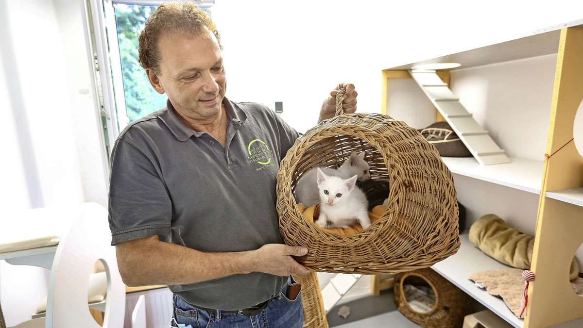 Tierheim Esslingen: Ein Einzelzimmer für Minka
