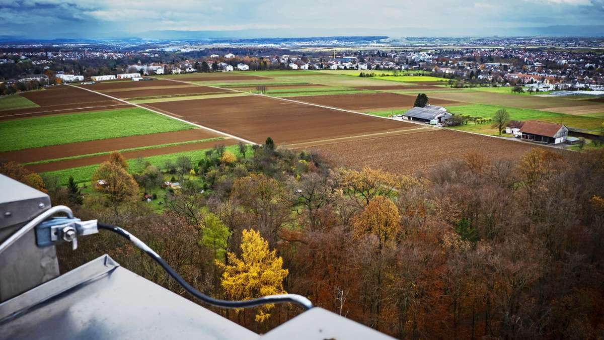 Wohnungsbau in Stuttgart: Bald wieder Bauen auf der grünen Wiese?