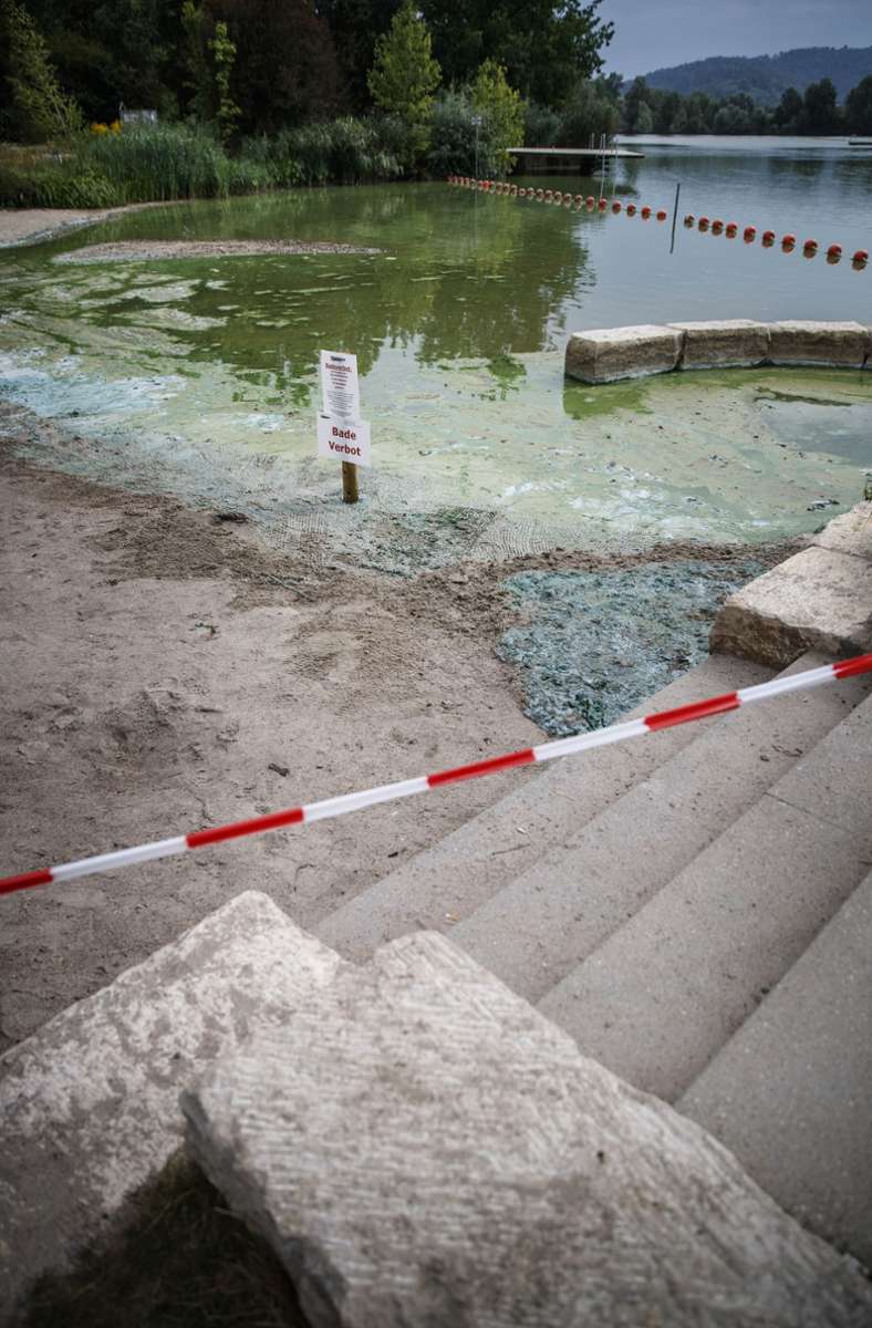 Vergangenen Sommer musste der See in Plüderhausen kurzzeitig wegen Blaualgen gesperrt werden.