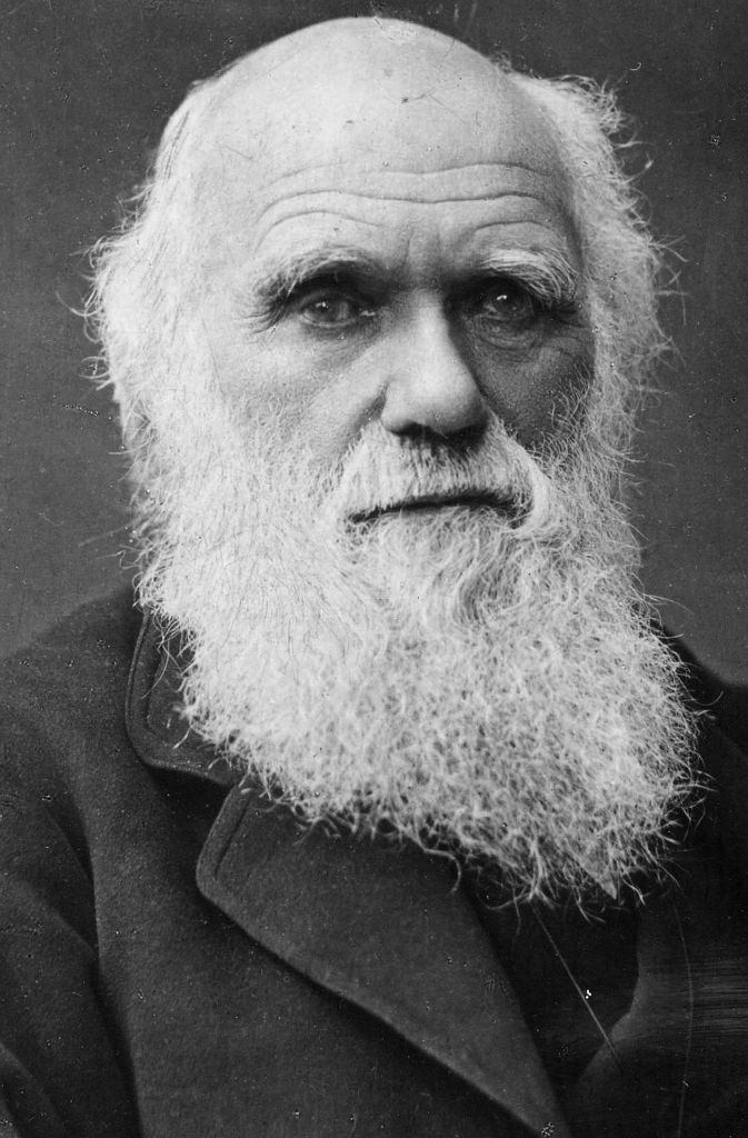 Die unglaubliche Vielfalt des Lebens auf der Erde, die sich in Jahrmillionen herausgebildet hat, beinhaltet eine unendliche Vielfalt an Intelligenz, wie schon Charles Darwin (1809-1882) festgestellt hat.