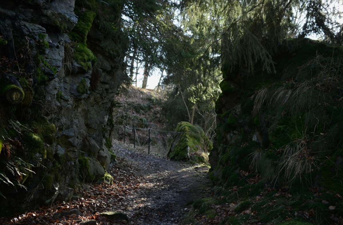 Ein dunkler Waldweg in der Umgebung von Lichtenberg in Oberfranken.